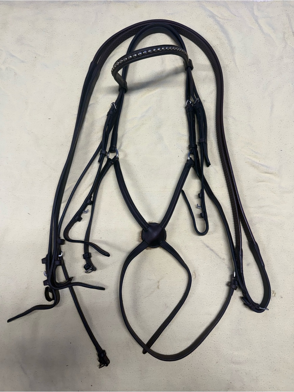 Bobbys figure 8 bridle